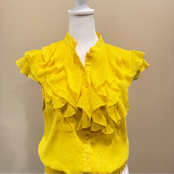 Vixen Y2K Yellow Swiss Dot Ruffle Blouse Cottagecore Size Small - Picture 2 of 11